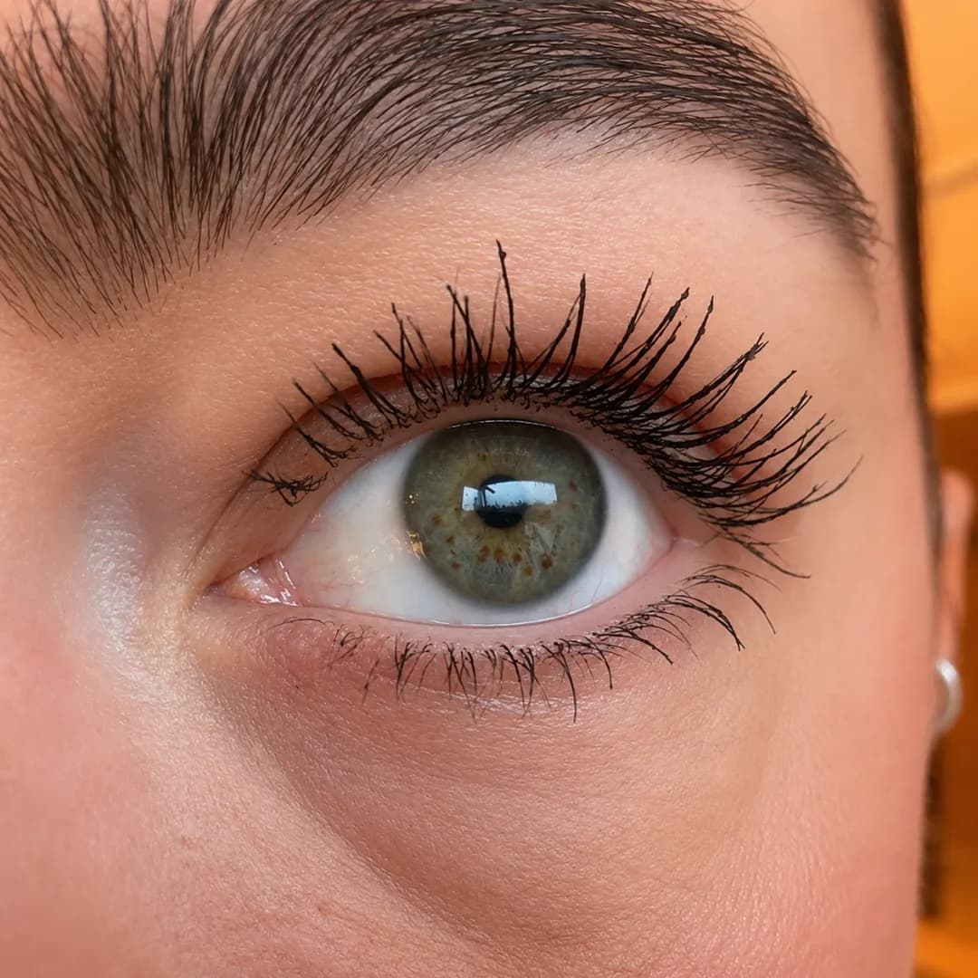 Mascara Grand Danois Noir vue 7