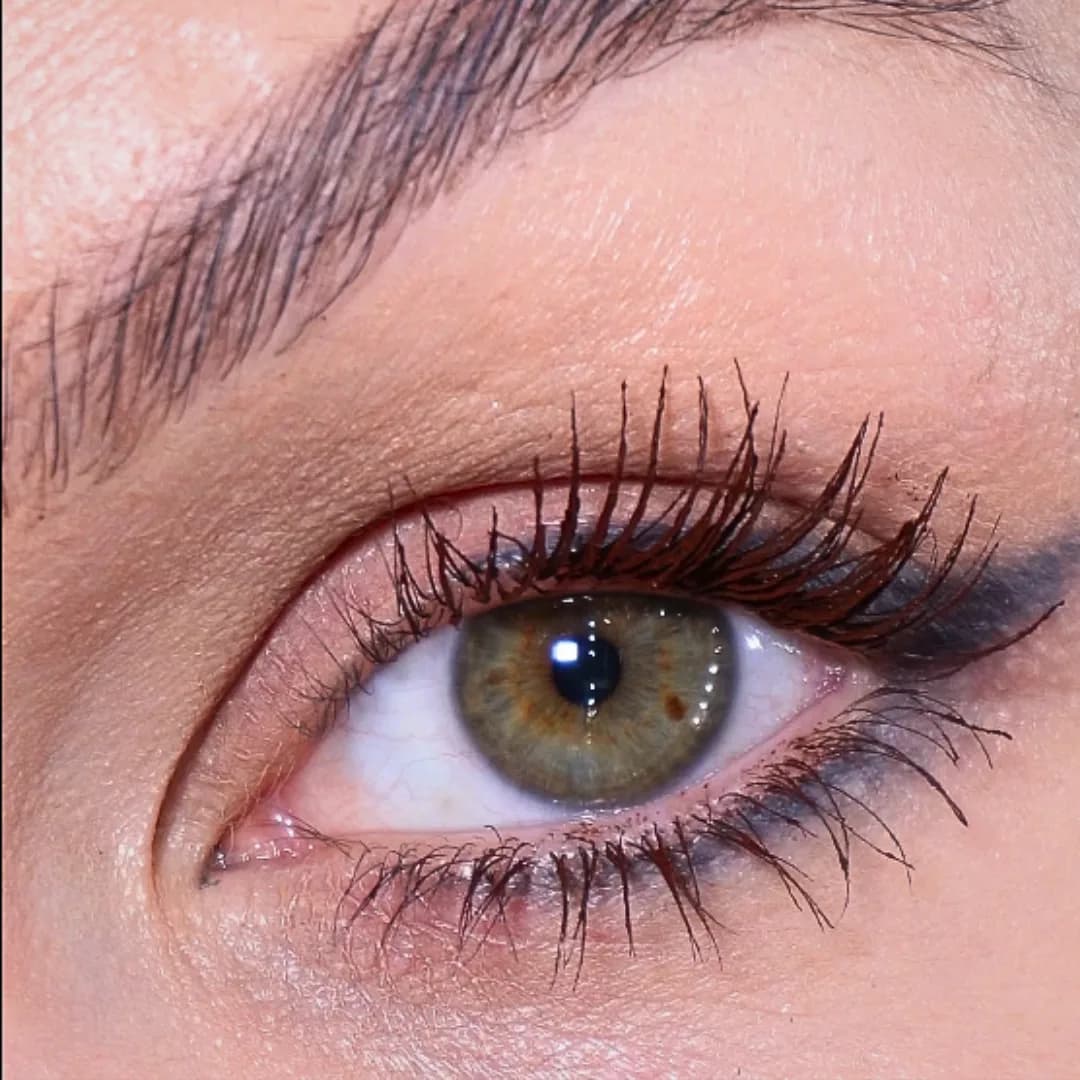 Mascara Grand Danois Noir vue 6